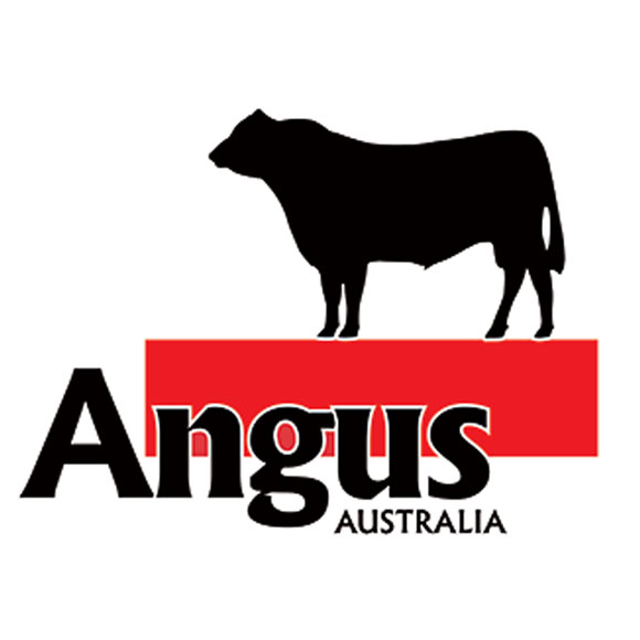 Angus Australia, Αυστραλία
